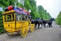 Kurfuerst   053